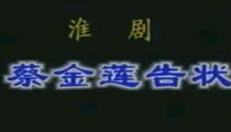 淮剧《蔡金莲告状》 刘素华戴建民主演