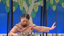 淮剧小戏小品合集9部经典选段欣赏