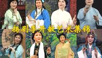扬剧李开敏艺术集锦第一辑经典唱段