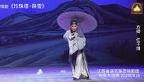 锡剧《珍珠塔·跌雪》片段